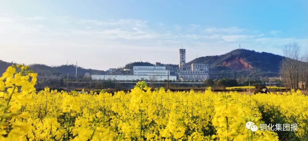 问鼎娱乐app(中国)官网下载入口