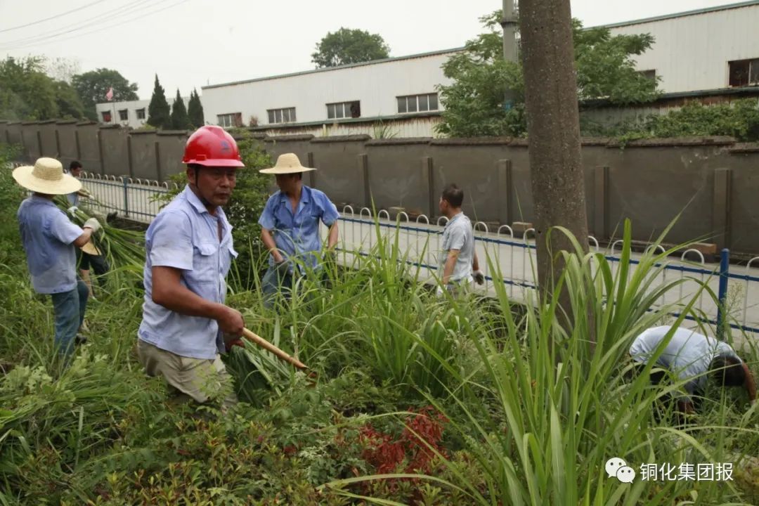 问鼎娱乐app(中国)官网下载入口