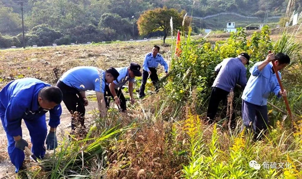 问鼎娱乐app(中国)官网下载入口