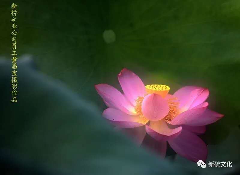 问鼎娱乐app(中国)官网下载入口