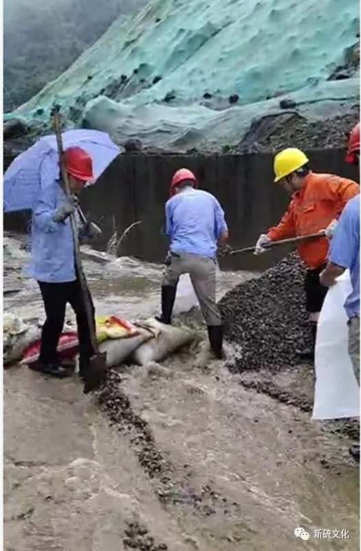 问鼎娱乐app(中国)官网下载入口