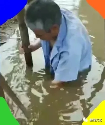 问鼎娱乐app(中国)官网下载入口